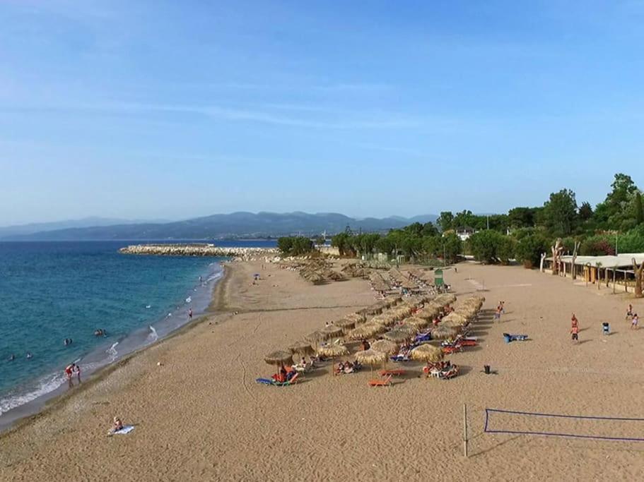 キパリシアΣτούντιο Σε Πέτρινο Σπίτι, Κοντά Σε Παραλίαアパートメント エクステリア 写真